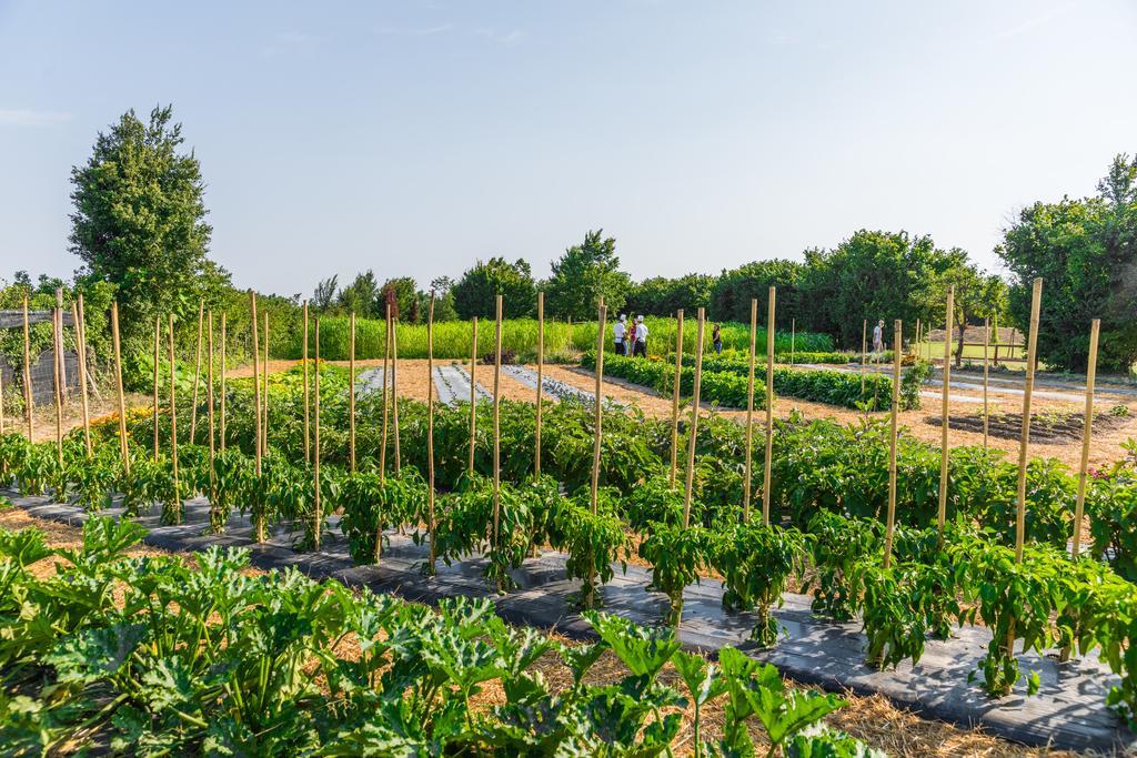 La Posa Degli Agri Acomodação com café da manhã Legnaro Exterior foto